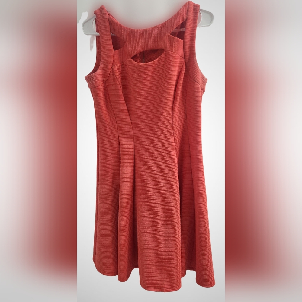 NWOT. Gabby Skye Dress. Petite. Size 8.